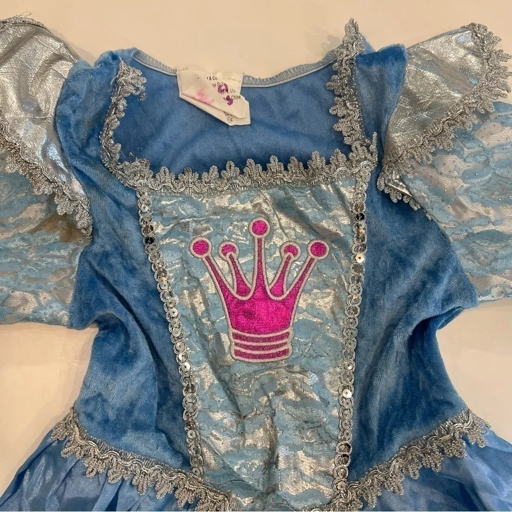 Cinderella princess dress costume